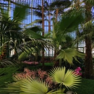 On aime toujours autant Bruxelles 🤩.#brussels #belgium #garden